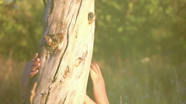 Hermosa chica en un parque, escondido detrás de un tronco de árbol.Hermosa, chica juguetona en la naturaleza . — Vídeos de Stock