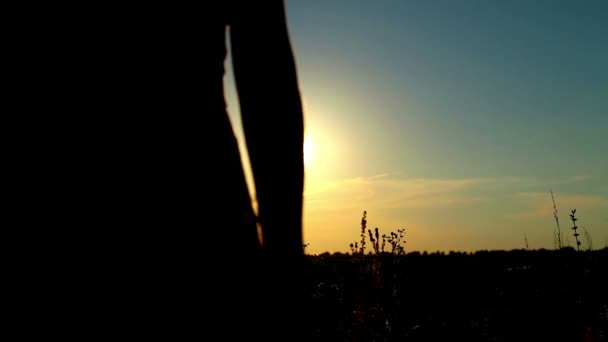 Menina posando ao pôr-do-sol. Mulher ao pôr do sol no campo . — Vídeo de Stock