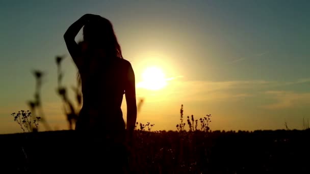 Homem e mulher em um campo ao pôr do sol.Casal apaixonado ao pôr do sol . — Vídeo de Stock