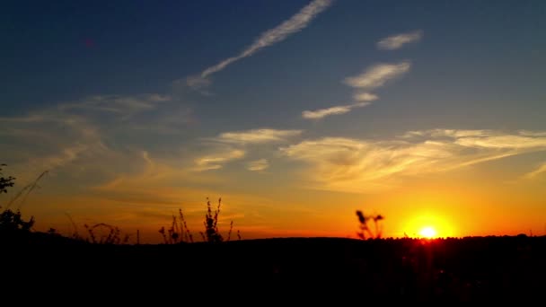 L'uomo al tramonto nel campo (corsa, salto ) — Video Stock