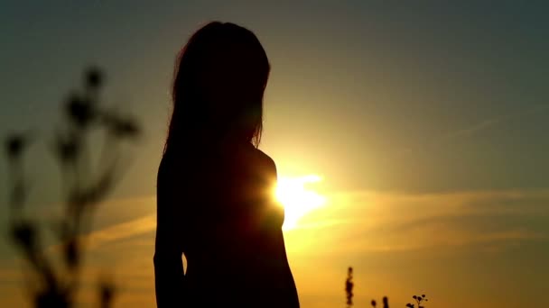摆在日落时分的女孩。在日落时在字段中的女人. — 图库视频影像
