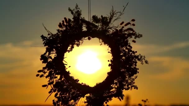 De zon schijnt door de krans. — Stockvideo