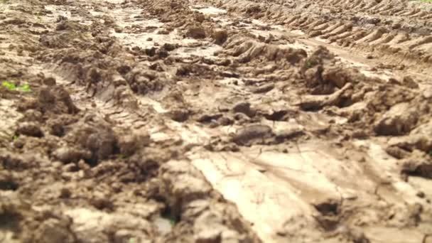 Camino abandonado después de la lluvia, camino fangoso, caminos, vida silvestre, rally — Vídeo de stock