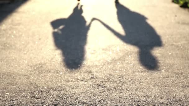一对年轻夫妇在人行道上的爱的阴影。两人的剪影 — 图库视频影像