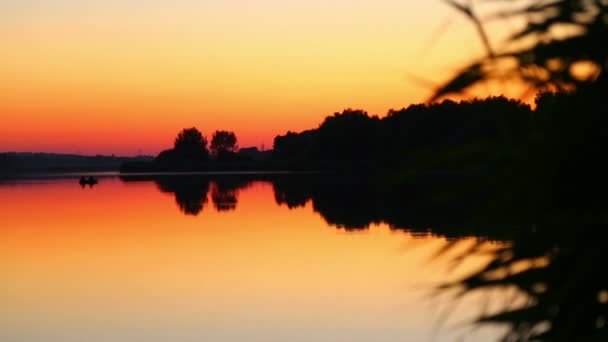 Reflection of the setting sun in the water. Evening landscape. Sunset over the river. Silhouette of plants at sunset. — Stock Video