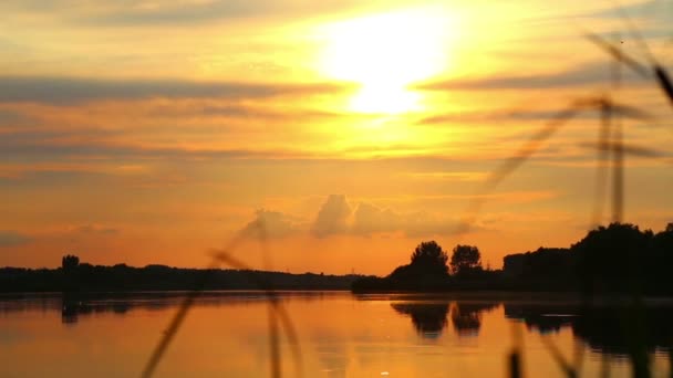 Reflection of the setting sun in the water. Evening landscape. Sunset over the river. Waves on water. — Stock Video