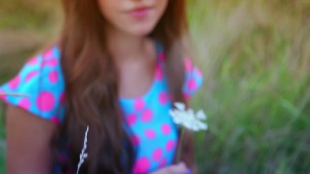 Młoda dziewczyna siedzi w pole trawa i o zabawy patrząc na kamery. — Wideo stockowe