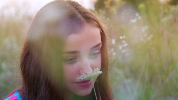 若い女の子は考え込むよう自然の中で草の中に座っています。臭いがする花の女の子. — ストック動画