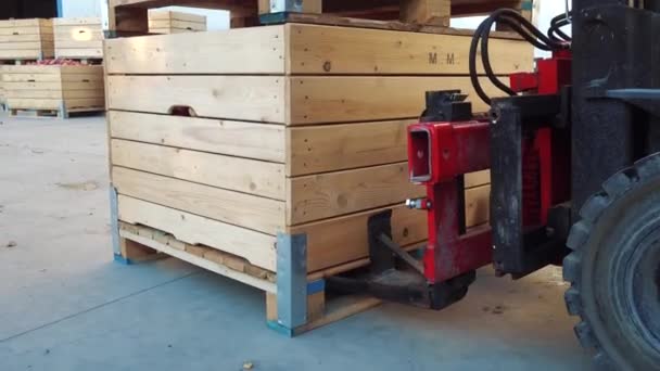 Bir Forklift Depodaki Elma Kutularını Dolduruyor — Stok video