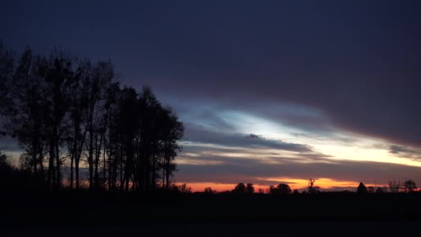 Veduta Degli Alberi Sera Dopo Tramonto — Video Stock