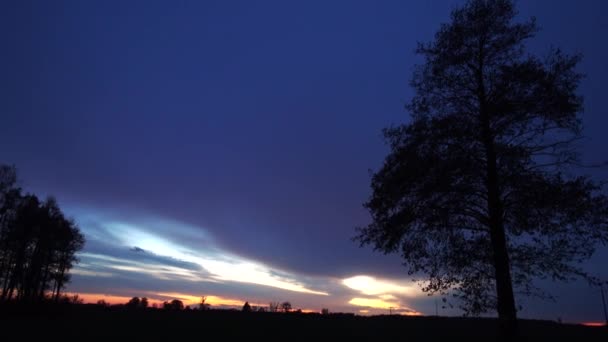 Vista Los Árboles Noche Después Del Atardecer — Vídeo de stock