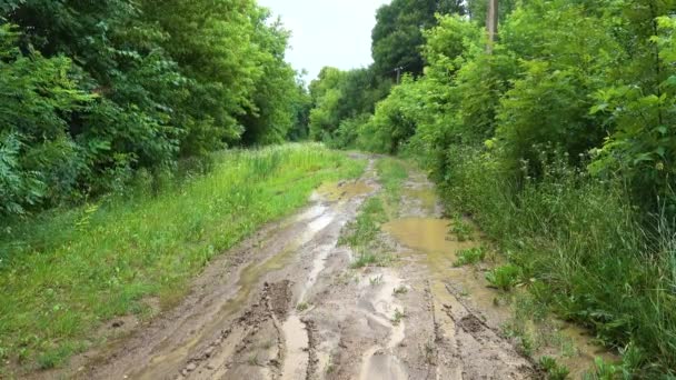 Venkovské Silnice Byly Vyplaveny Deštěm Rustikální Staré Cesty Dešti — Stock video