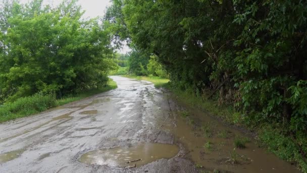 Wiejskie Drogi Zmyte Deszczem Rustykalne Stare Drogi Deszczu — Wideo stockowe