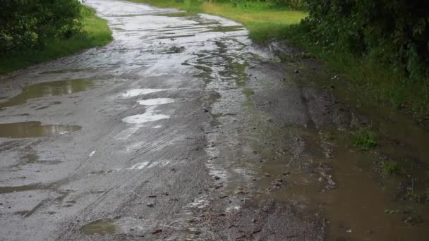 Venkovské Silnice Byly Vyplaveny Deštěm Rustikální Staré Cesty Dešti — Stock video