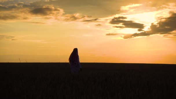 Ein Arabischer Mann Geht Bei Sonnenuntergang Durch Ein Weizenfeld — Stockvideo