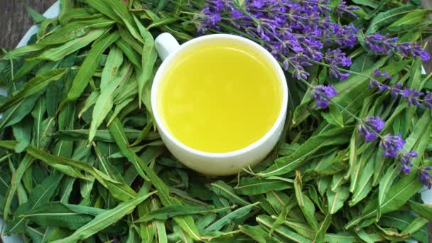 Mug Ivan Tea Lavender Flower — Stock Video