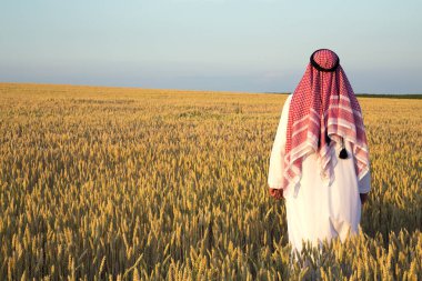Buğday tarlasında bir Arap. Bir Müslüman buğday tarlasında sevinir. 