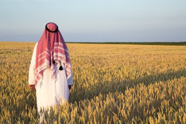 Buğday tarlasında bir Arap. Bir Müslüman buğday tarlasında sevinir. 