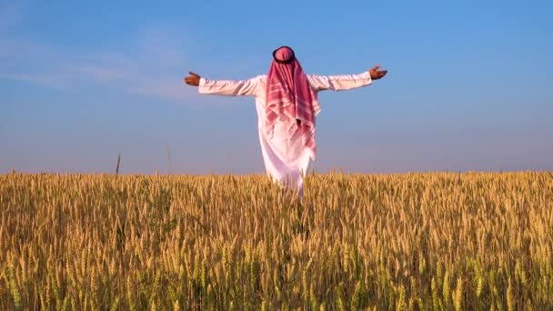 Araber Einem Weizenfeld Ein Muslim Jubelt Einem Weizenfeld — Stockvideo