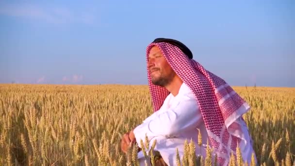 Arab Man Wheat Field Muslim Rejoices Wheat Field — Stockvideo