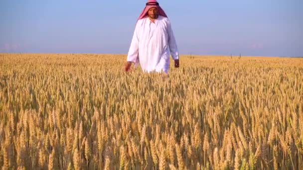 Uomo Arabo Campo Grano Musulmano Gioisce Campo Grano — Video Stock