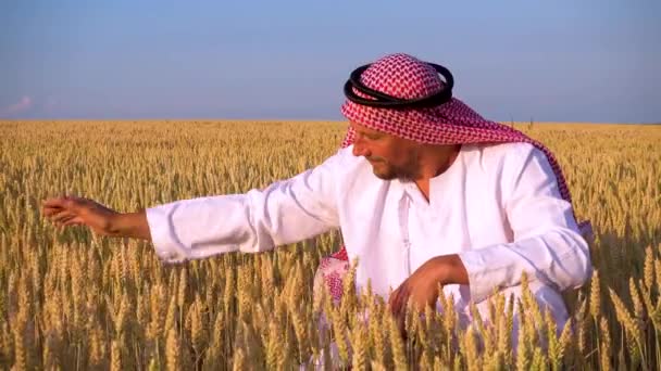 Arab Man Wheat Field Muslim Rejoices Wheat Field — Stockvideo