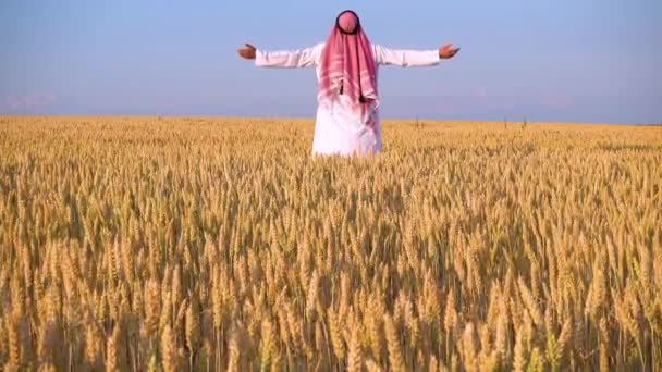 Araber Einem Weizenfeld Ein Muslim Jubelt Einem Weizenfeld — Stockvideo