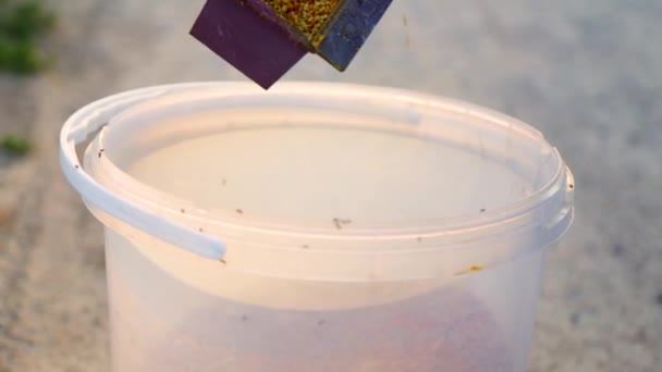 Пчеловод Собирает Цветочную Пыльцу Уход Пчелиными Ульями — стоковое видео