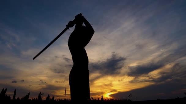 Silhueta Rapaz Treinar Com Uma Espada Samurai Pôr Sol Adolescente — Vídeo de Stock