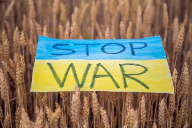 Ukrayna 'da buğday dallarına savaş ilan edilmedi. Ukrayna 'da buğday tarlasında savaş bayrağını durdurun. 