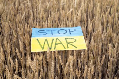Ukrayna 'da buğday dallarına savaş ilan edilmedi. Ukrayna 'da buğday tarlasında savaş bayrağını durdurun. 