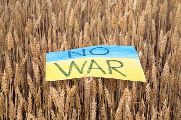 Poster no war in Ukraine on spikelets of wheat. Stop war flag in Ukraine on a wheat field.