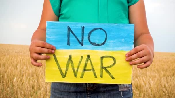 Dítě Pšeničném Poli Drží Prapor Proti Válce Ukrajinské Dítě Proti — Stock video
