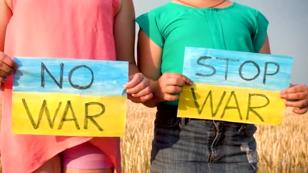 Child Wheat Field Holds Banner War Ukrainian Child War Children — ストック動画