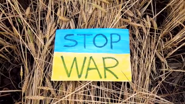 우크라이나 스파이크에 전쟁은 것이다 밭에서 우크라이나 깃발을 멈춰라 — 비디오