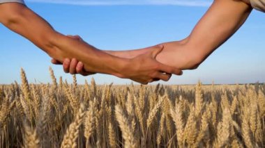 A farmer inspects his wheat field. Portrait of a man in a wheat field. Grain problem. World hunger. 