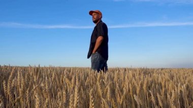 Bir çiftçi buğday tarlasını teftiş eder. Buğday tarlasında bir adamın portresi. Tahıl problemi. Dünya açlığı. 