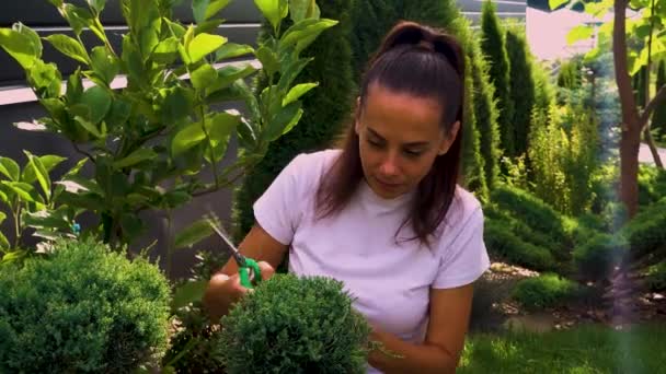 Happy Young Woman Cutting Junipers Garden Portrait Young Beautiful Girl — Vídeos de Stock