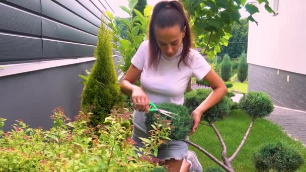 Happy Young Woman Cutting Junipers Garden Portrait Young Beautiful Girl — Stok Video