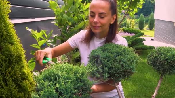 Happy Young Woman Cutting Junipers Garden Portrait Young Beautiful Girl — Stok video