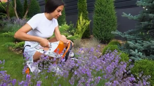 Hands Happy Girl Tool While Pruning Lavender Garden Pruning Lavender — Stock video