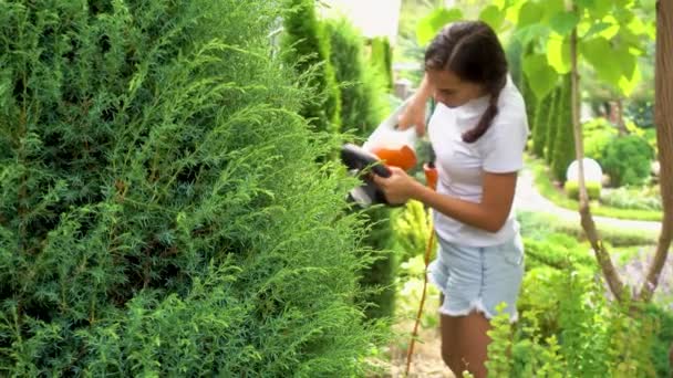 Young Beautiful Girl Cuts Juniper Garden Woman Brush Cutter Makes — Vídeo de Stock