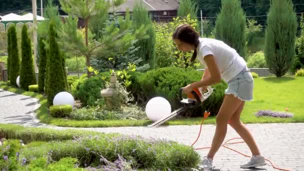Hands Happy Girl Tool While Pruning Lavender Garden Pruning Lavender — Vídeo de Stock