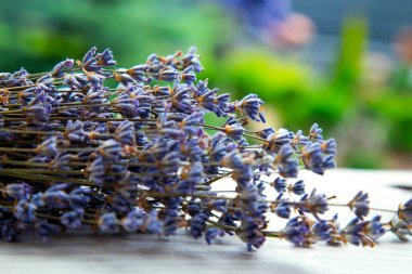 Flora. Bir buket lavanta çiçeği. Güzel bir demet lavanta salıncakta yatıyor. Ev konforu, sağlık, güzellik ve tasarım. 