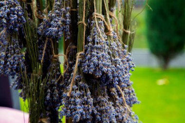 Portrait of a girl with a bouquet of lavender flowers. The hands of a woman hold a bouquet of lavender in front of her. The concept of beauty, nature, happiness. 