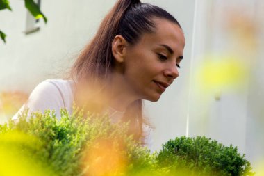 Bahçede ardıç kesen mutlu genç kadın. Bahçede süslü bitkilerle çalışan güzel bir kızın portresi. Mutluluk kavramı, neşe, bitkilerle ilgilenmek..