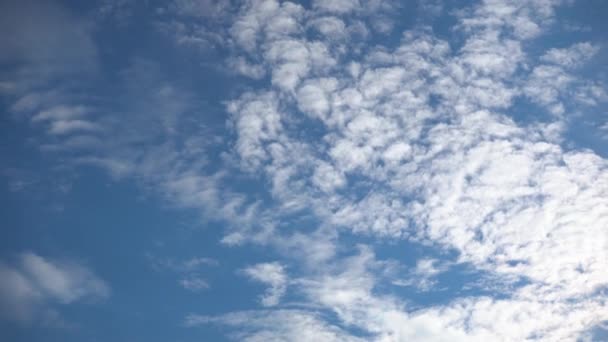 Beautiful Cumulus Clouds Illuminated Daytime Sunlight Fly Lightly Freely Sky — 图库视频影像