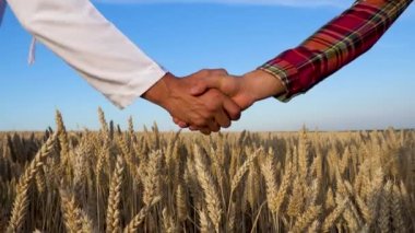 Shaking hands in agreement on the background of a wheat field. Wheat problem. World hunger. 