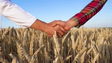 Shaking hands in agreement on the background of a wheat field. Wheat problem. World hunger. 