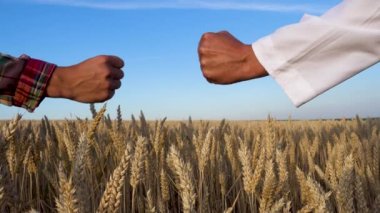 Shaking hands in agreement on the background of a wheat field. Wheat problem. World hunger. 
